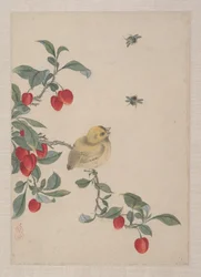 Aves, insectos y flores