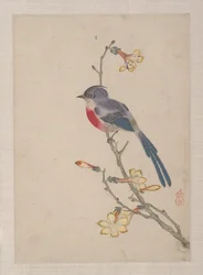 Aves, insectos y flores