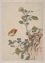 Aves, insectos y flores