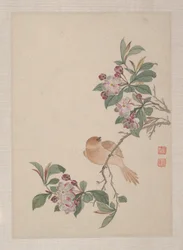 Aves, insectos y flores