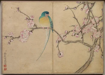 Álbum de escritorio: Pinturas de flores y aves Pájaro con flores de ciruelo, siglo XVIII