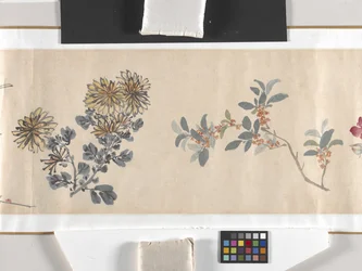 Flores de colores