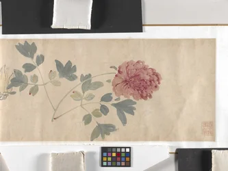 Flores de colores