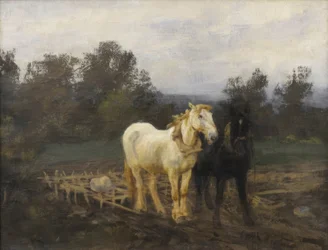 Caballos con grada, principios del siglo XX