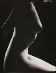Desnudo femenino