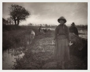 Agricultura arable, cosecha 