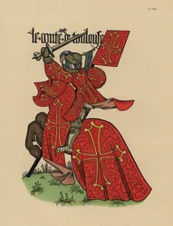 Conde de Toulouse, Comte de Toulouse, con estandarte