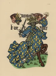 Francisco I, Rey de Francia, Le roi de France