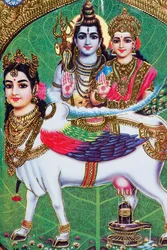 Dios hindú Shiva y diosa Parvati.