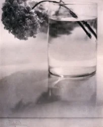 Hortensia, c 1907