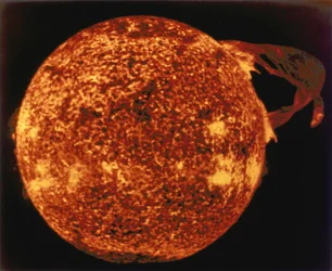 Gran llamarada solar vista en luz ultravioleta extrema