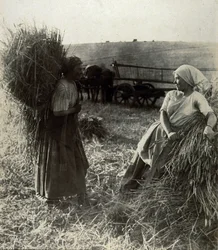 Les Moissonneuses, hacia 1900