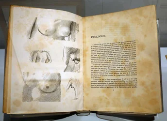 Museo de los impresionismos, Giverny, Francia. Libro de Ramón Gómez de la Serna con dibujos de Pierre Bonnard. Pechos.