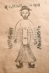 Museo de Medicina Tradicional Vietnamita, Los canales y vasos, Libro de acupuntura, Ciudad Ho Chi Minh, Vietnam