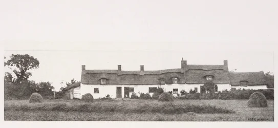 Cabañas de Norfolk
