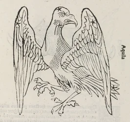 La constelación de Águila