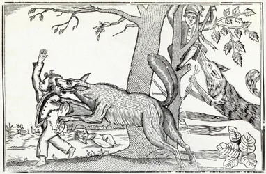 El lobo circa 1820
