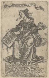 Sibila cumana