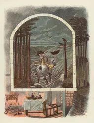 Ilustración para Tam O