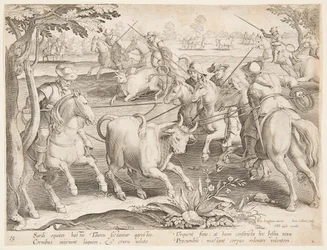 Cazando toros salvajes