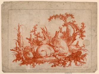 Familia de Conejos