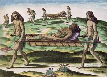 Hermafroditas transportando a los heridos, de 