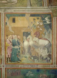 Noé guiando a los animales al arca, 1356-67