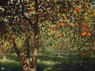 Silencio bajo las naranjas II