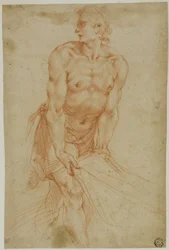 Hombre tirando de la sábana: Estudio para el Entierro [Sacristía de la Certosa di San Martino, Nápoles, 1596].