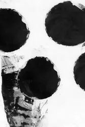 Círculos negros abstractos
