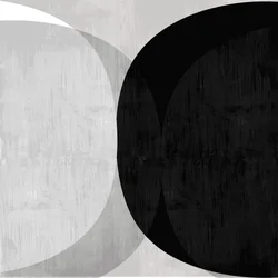 Curvas abstractas negras y blancas