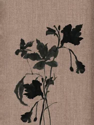 Silueta botánica negra