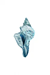 Concha de caracol azul