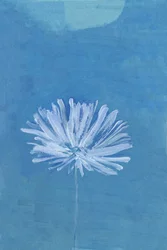 Flor de la Luna Azul