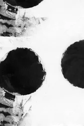Círculos abstractos en negrita