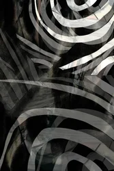 Rayas abstractas en negrita
