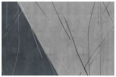 Líneas abstractas en gris frío