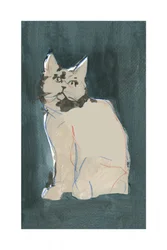 La mirada curiosa del gato