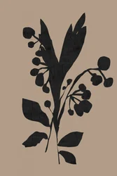 Silueta botánica oscura