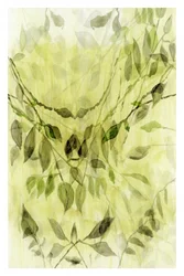 Follaje verde etéreo