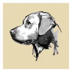 Perfil de un perro expresivo