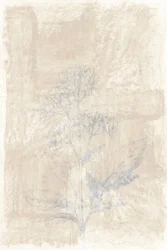 Boceto botánico descolorido