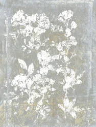 Silueta floral descolorida