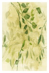 Capas botánicas verdes