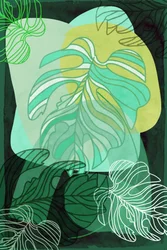 Monstera ecológica