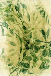 Hojas en acuarela verde