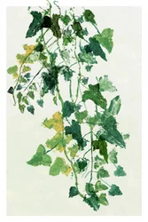 Exuberante follaje verde