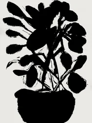 Planta en maceta de estilo minimalista