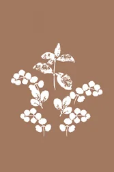 Hojas blancas minimalistas