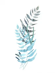 Helechos azules apagados